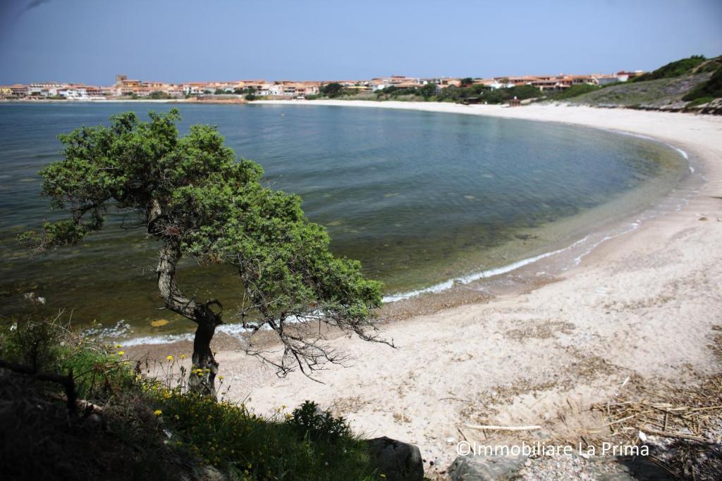 Appartamenti Ideal Isola Rossa  Exterior foto